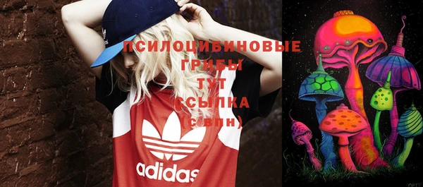 бутират Медвежьегорск