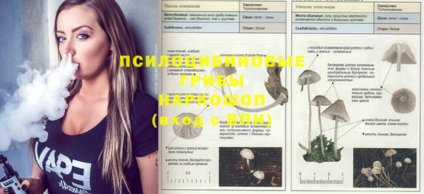 кокаин перу Домодедово