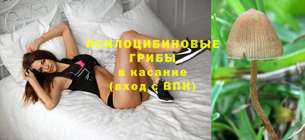 синтетический гашиш Медногорск