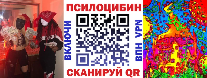 Галлюциногенные грибы Psilocybine cubensis  Ефремов 