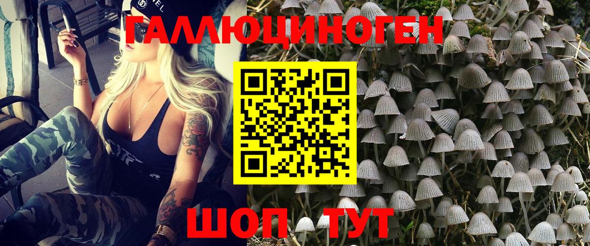 Мефедрон  ГАШ  APVP  Ефремов  Марки  Вход с VPN  МЕФ  КОКАИН  Метамфетамин  Марихуана 