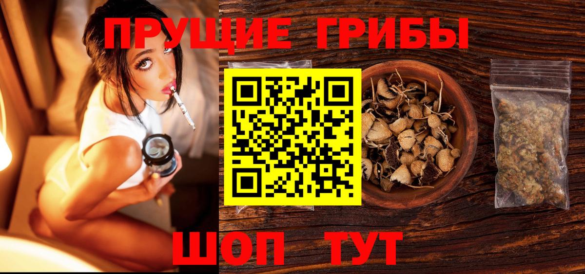 Галлюциногенные грибы Psilocybine cubensis  Ефремов  Галлюциногенные грибы Cubensis 