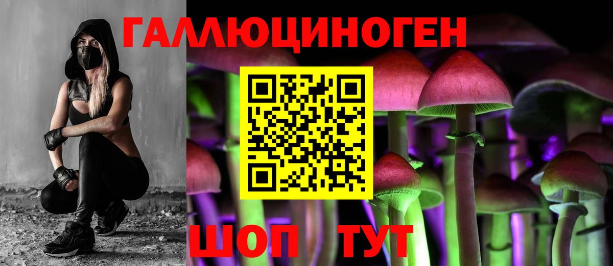 Галлюциногенные грибы ЛСД Ефремов