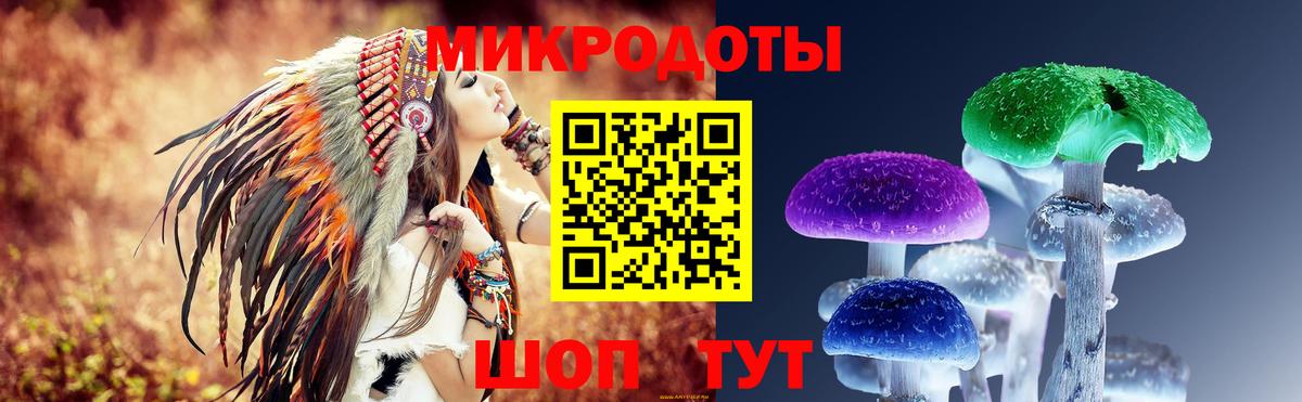 Галлюциногенные грибы GOLDEN TEACHER Ефремов