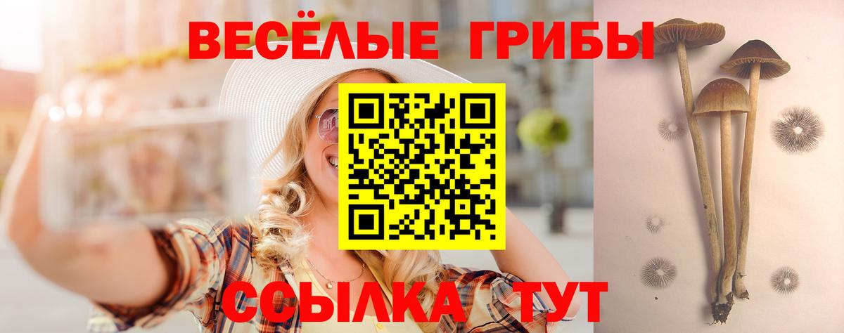 Псилоцибиновые грибы Cubensis  Вход с VPN  Ефремов  Галлюциногенные грибы Cubensis 
